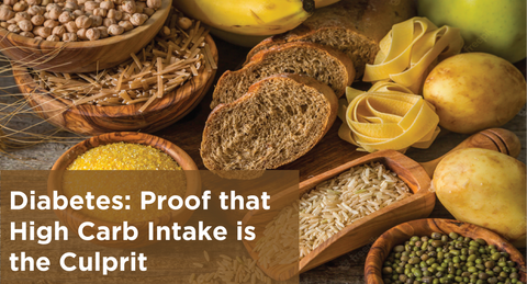 Diabetes: Proof that High Carb Intake is the Culprit