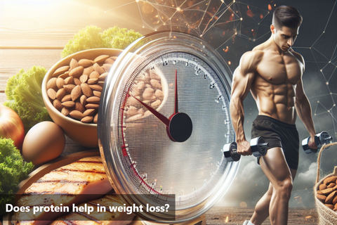 Does protein help in weight loss?