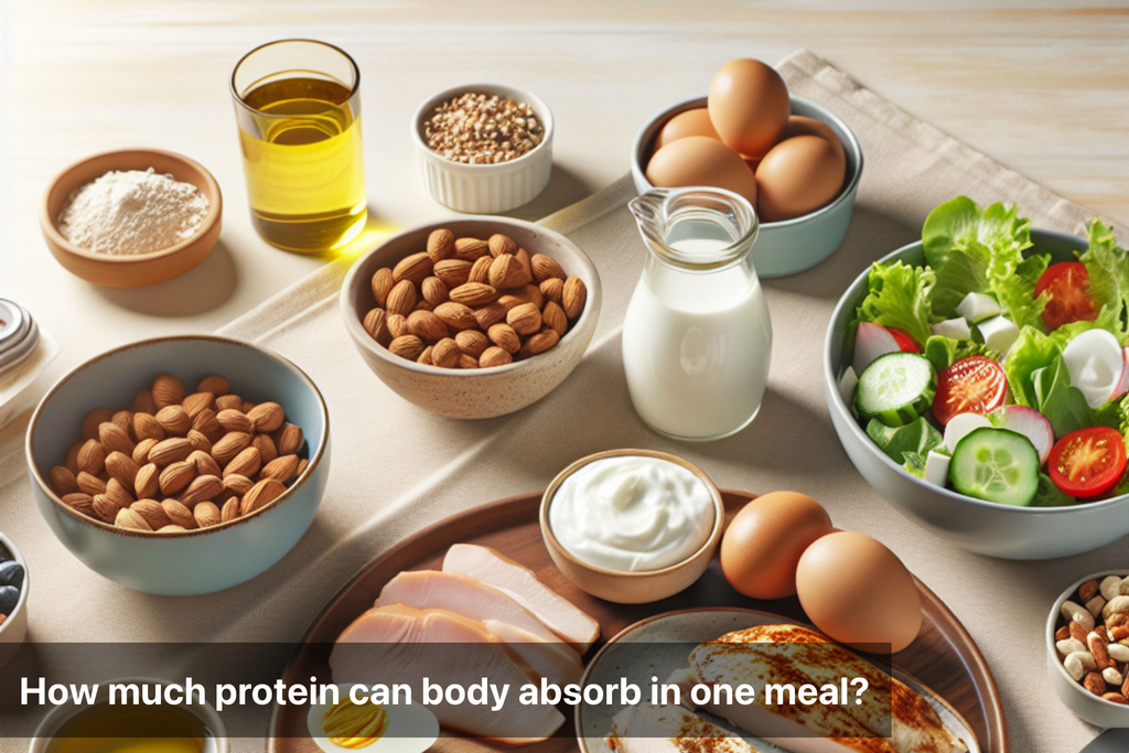 How Much Can Your Body Absorb Protein At One Time How Much Protein Can Your Body Absorb in One Meal?