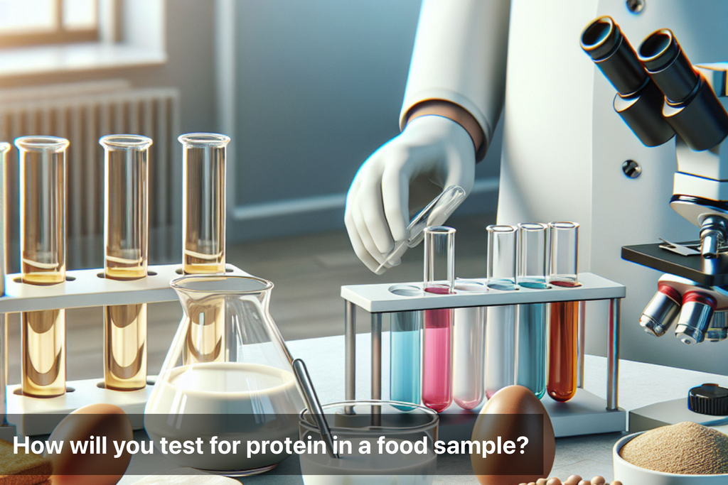 How to Test for Protein in Food A Simple Guide