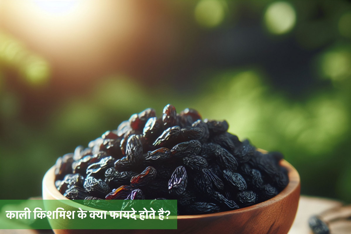 काली किशमिश के क्या फायदे होते है?