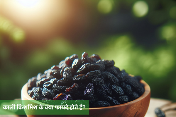 काली किशमिश के क्या फायदे होते है?