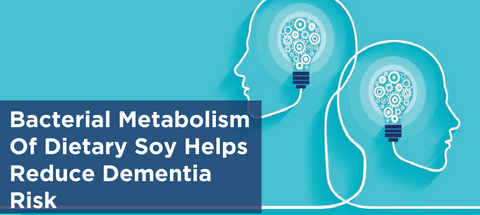 Bacterial Metabolism Of Dietary Soy Helps Reduce  Dementia Risk