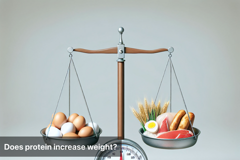 Does protein increase weight?