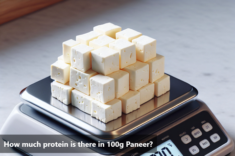 How much protein is there in 100g Paneer?