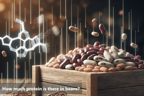 How much protein is there in beans?