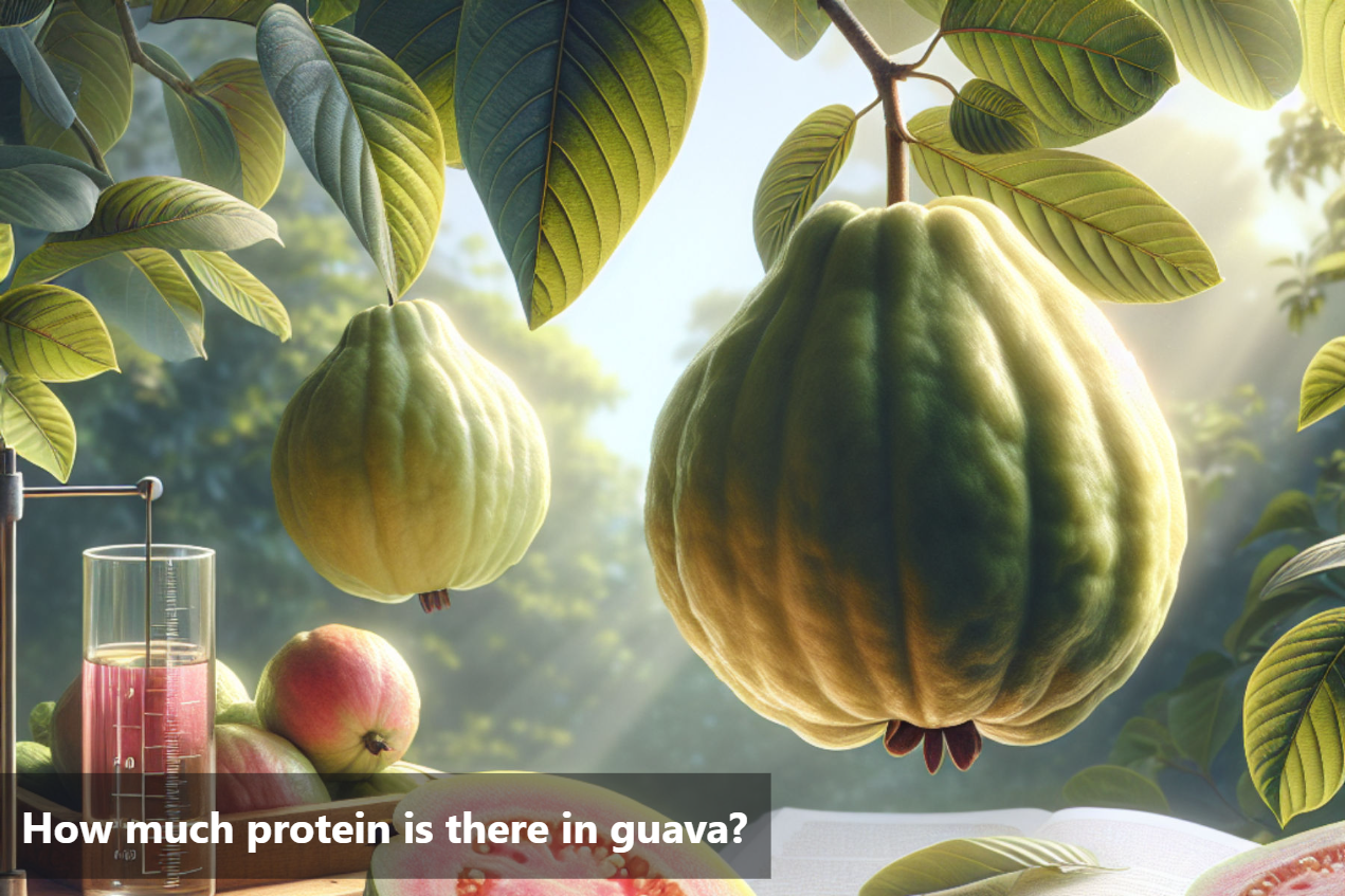 How much protein is there in guava?