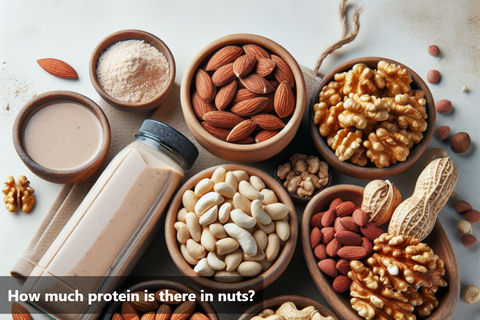 How much protein is there in nuts?