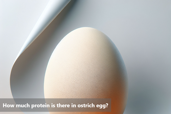 How much protein is there in ostrich egg?