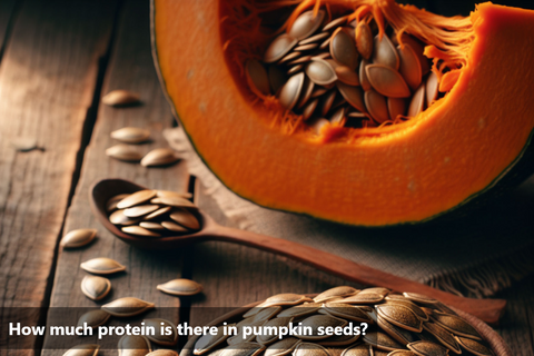 How much protein is there in pumpkin seeds?