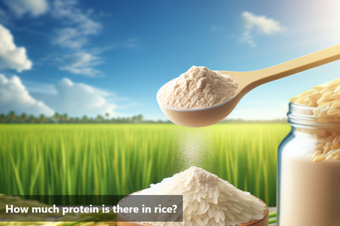 How much protein is there in rice?