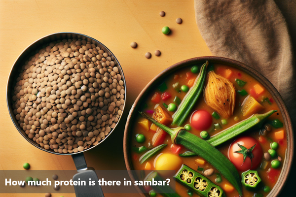 How much protein is there in sambar?