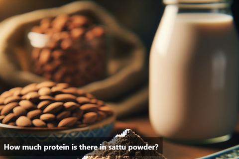 How much protein is there in sattu powder?