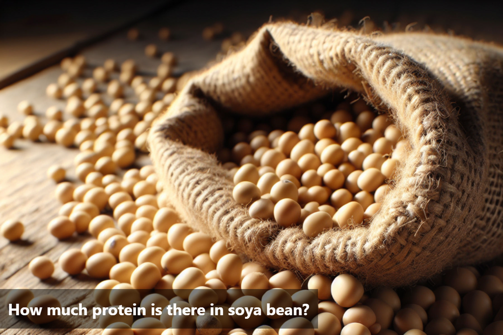Protein in Soya Bean: How Much is There?
