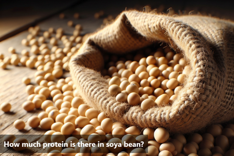 How much protein is there in soya bean?