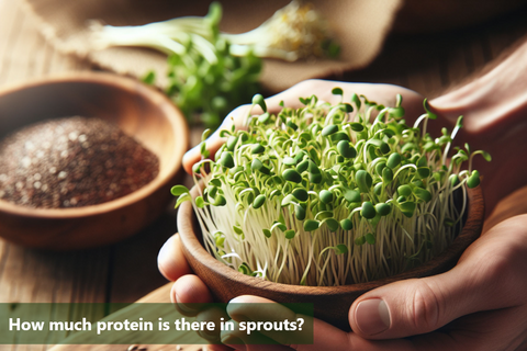 How much protein is there in sprouts?