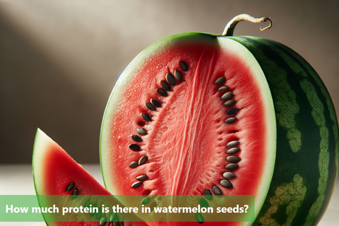 How much protein is there in watermelon seeds?