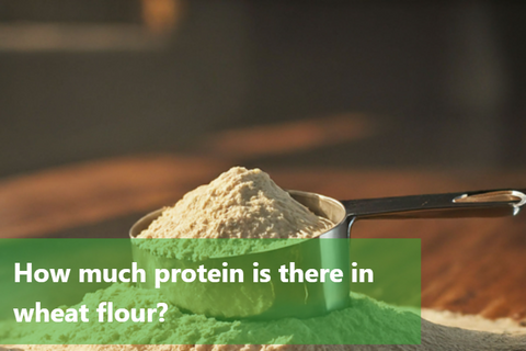 How much protein is there in Wheat flour?