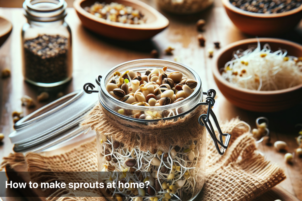 Grow Sprouts at Home: Easy Step-by-Step Guide