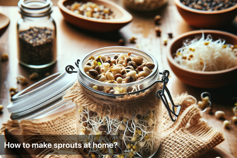 How to make sprouts at home?