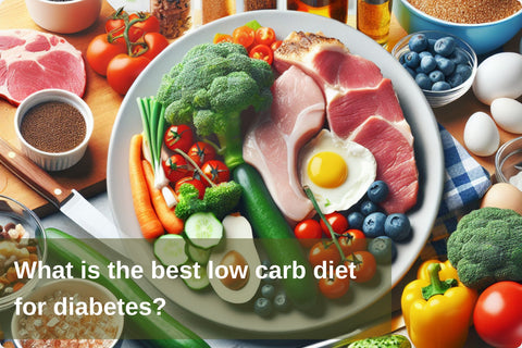 What is the best low carb diet for diabetes?