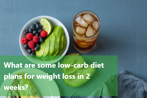 What are some low-carb diet plans for weight loss in 2 weeks?