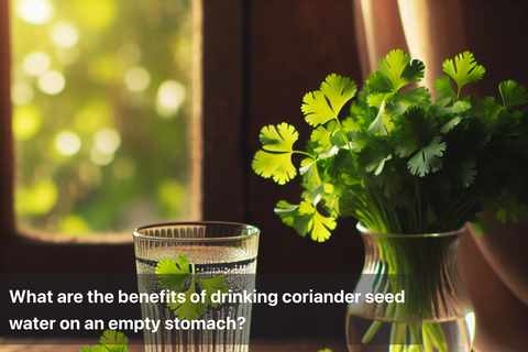 What are the benefits of drinking coriander seed water on an empty stomach?