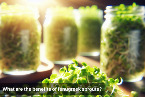 What are the benefits of fenugreek sprouts?