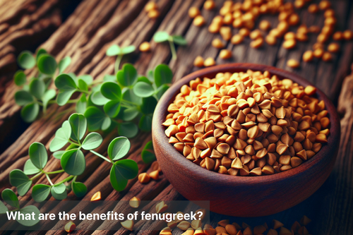 What are the benefits of fenugreek?