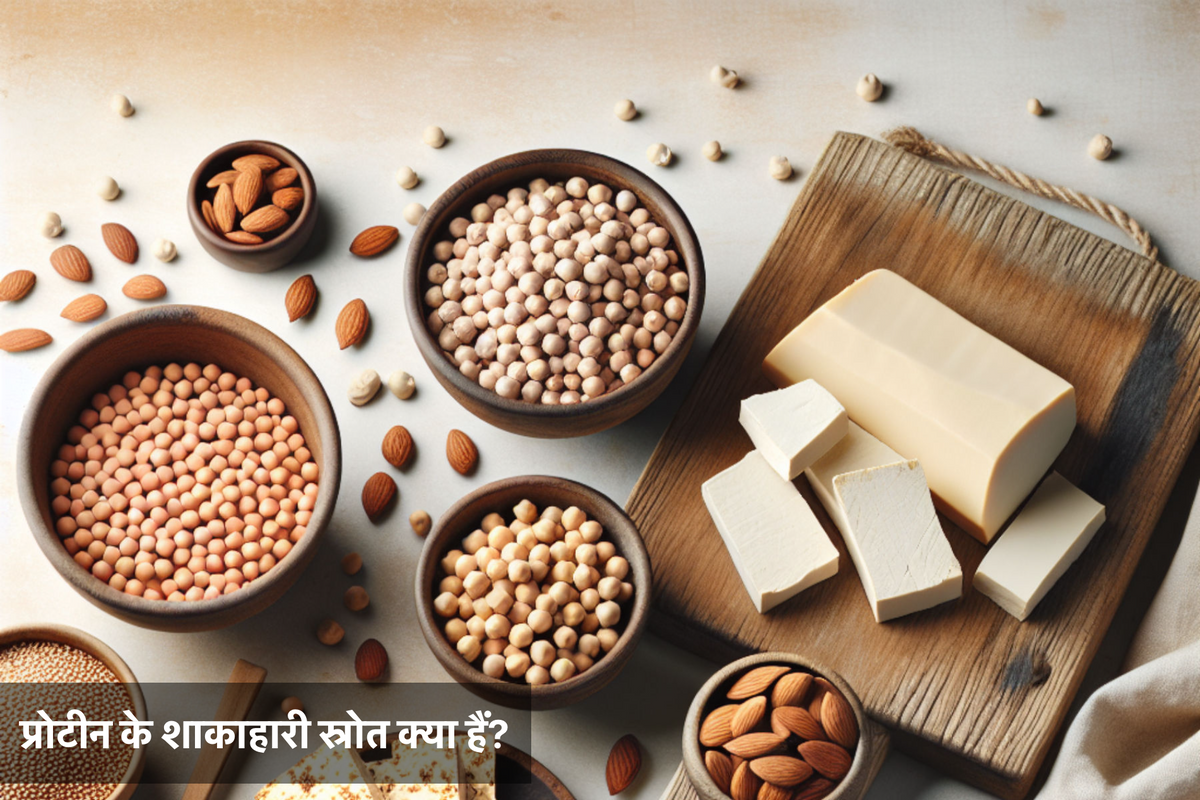 प्रोटीन के शाकाहारी स्रोत क्या हैं?