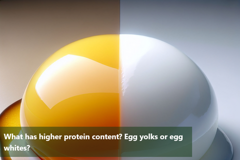 What has higher protein content? Egg yolks or egg whites?