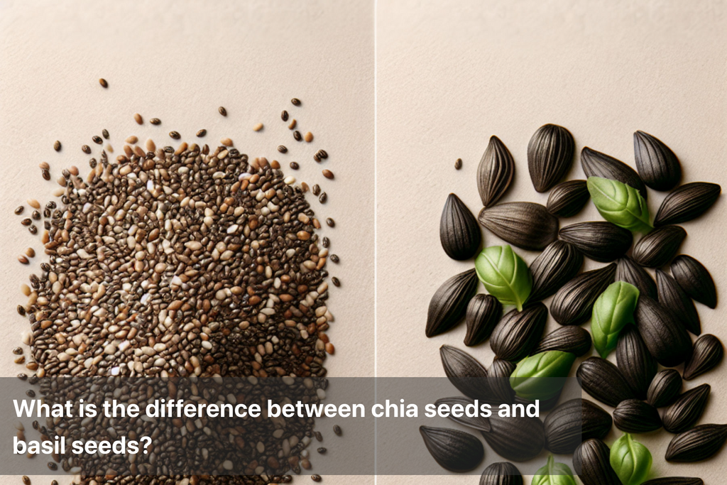 Chia Seeds vs Basil Seeds