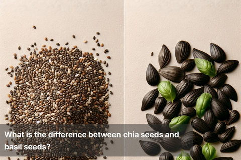 What is the difference between chia seeds and basil seeds?