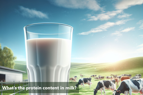 What's the protein content in milk?
