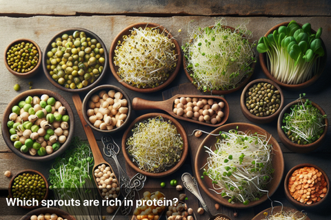 Which sprouts are rich in protein?