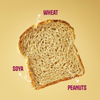 Protein Chef 35g Protein Brown Bread, No Maida